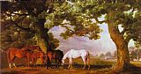 George Stubbs Mares and Foals in a Wooded Landscape painting